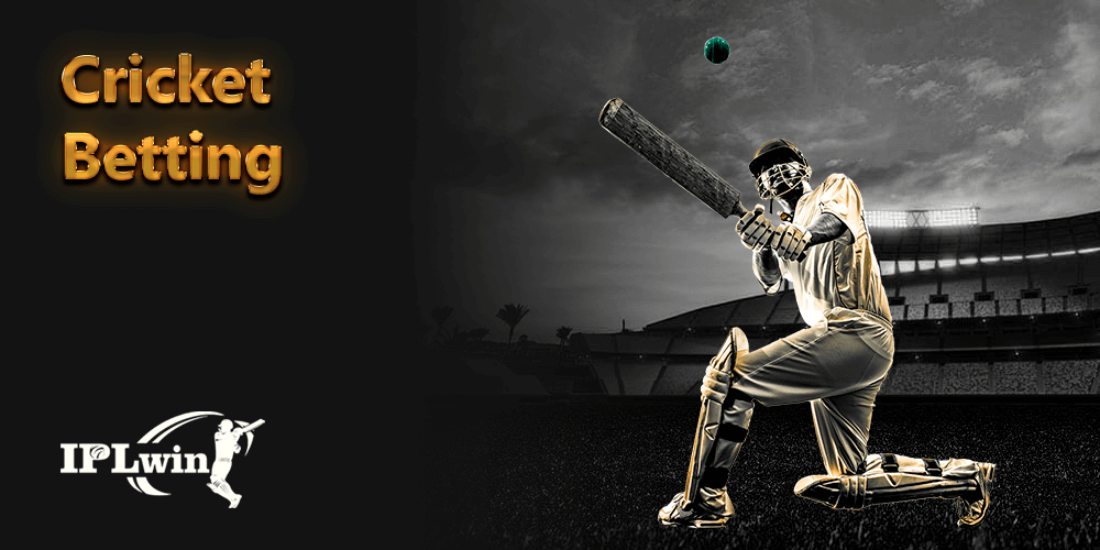 Sports bet brasil
