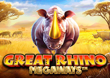 Stake casino apk