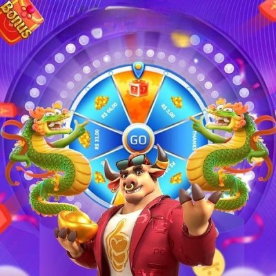 Bonus authenticator
