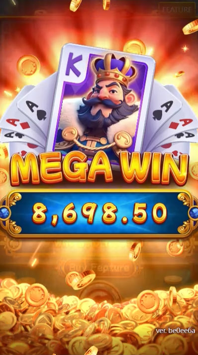 Mega photo pro