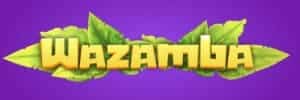 Blaze apk download
